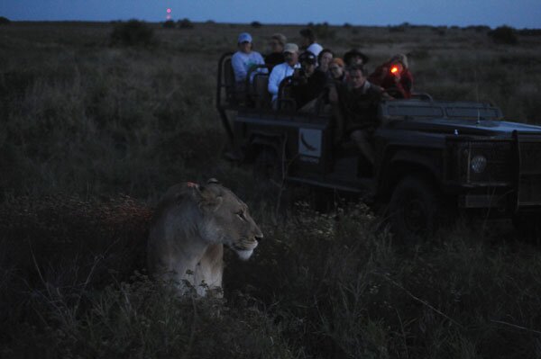 Brittany and I went straight to safari