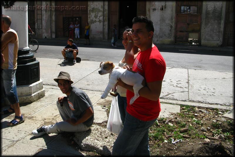 Havana Cuba socialized medical care for dogs