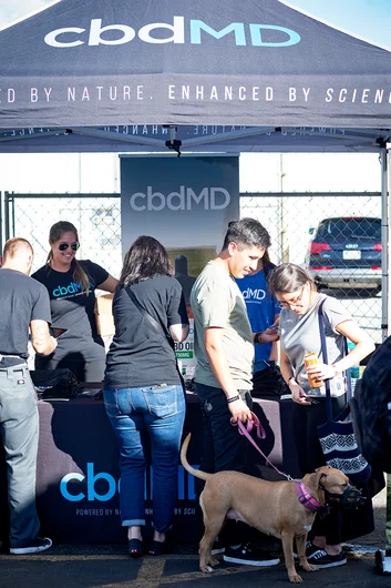 <!--am19finals-->

And, yes CBDMD has doggie treats.

