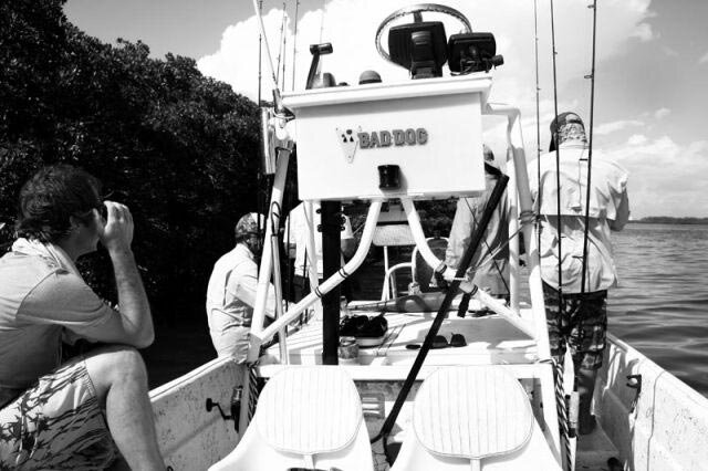 A Regular Week In Tampa: Fishing