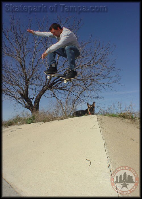Brian Schaefer backside ollie