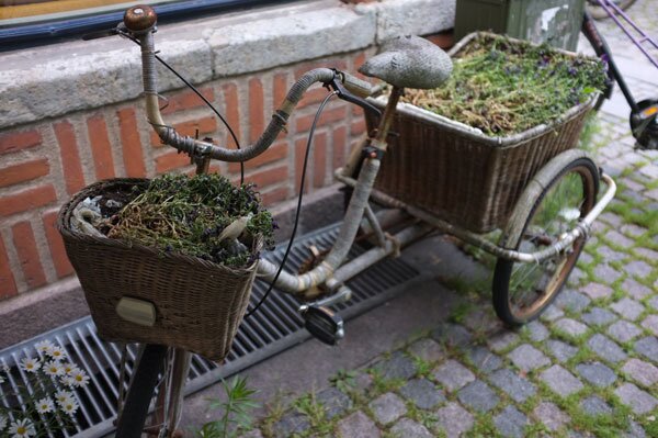 Randoms From Copenhagen: tourist mission