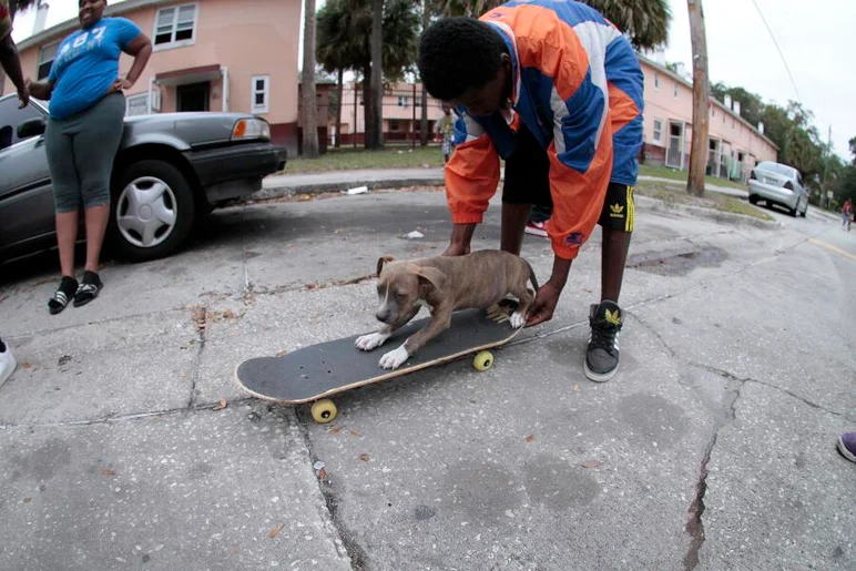 <!-- b4b2013dec -->

We had one last stop, and it was our biggest turnout of the day - we had the dogs getting boards, too.