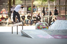 Daiki be Sugar Canin