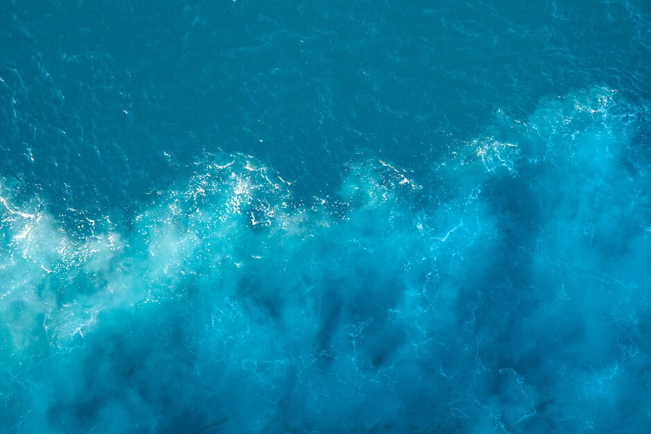 Flogging Molly Cruise 2022