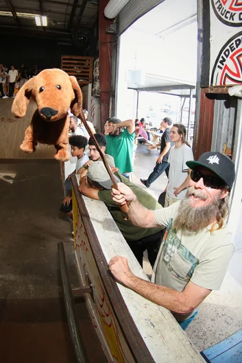 <!--vdaymass18-->
Follow #DogsofSPoTTampa