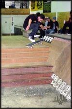 Nike SB P-Rod 2 Test