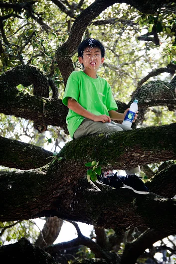 <!-- ffn_PB_nov13 -->
The number of photos I shot of Nick Noel up in this tree is unreal. He was like an adorable little monkey throwing bananas at people, and all I wanted to do was keep snapping pictures. Anyway, here's my favorite one. No bananas are being thrown, but he's sharing his drink with everyone!
