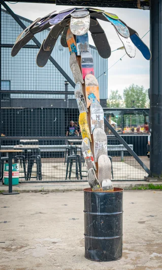 Now that's a real shame when folks be throwin' away a perfectly good skateboard palm tree like that.

<!--damnambreda22practice-->