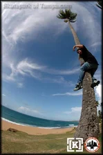 K.R.3.A.M. Am In Pue