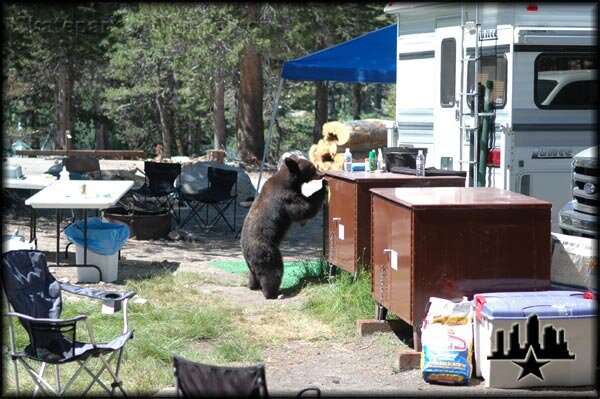 Mammoth Lakes, CA