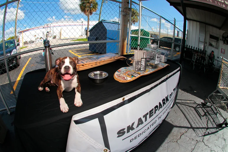 <!--zero-demo20-->

Boards for Bros was out here taking donations and anything you could spare to help spread the love of skateboarding. If that puppy doesn’t make you want to empty your pockets you’re not human.
