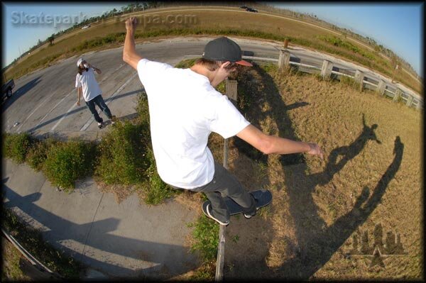 Alligator Alley DMFP Front Rock