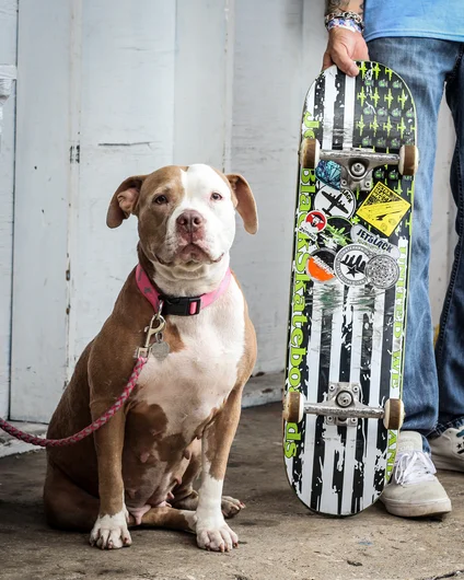 <!--btsb19-->

Jet Black Kelly was getting us hyped all day. We love dogs at SPoT in case you didn’t know…
