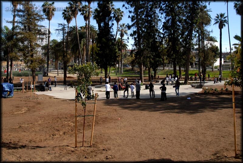 Dyrdek's new Safe Spot in Los Angeles