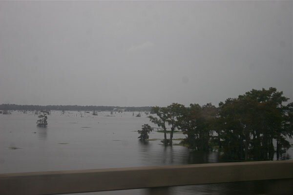 We went through lots of bayou and swamp landscape