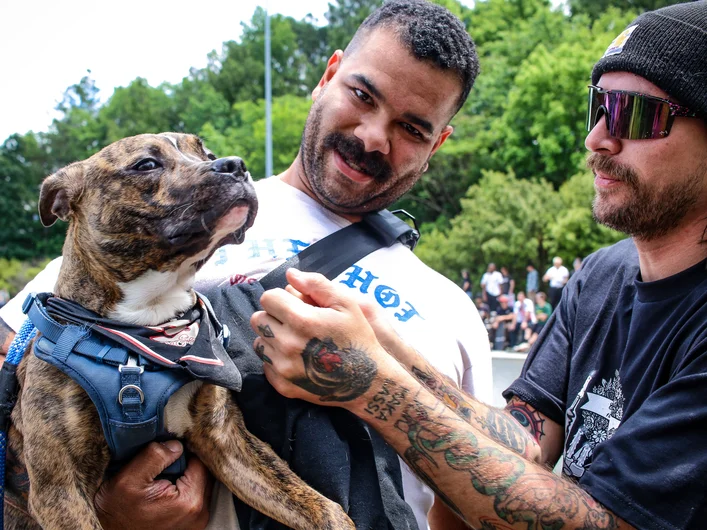 Dale the Dog

<!--atl2023trip-->