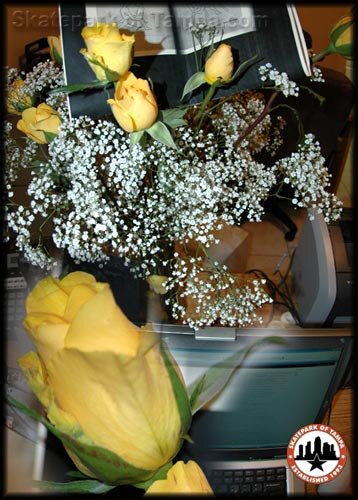 Valentine's Day