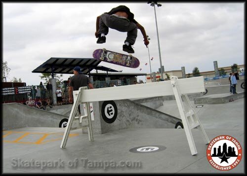 Bastien Salabanzi Etnies Goofy Vs. Regular