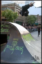 Vans Downtown Showdo