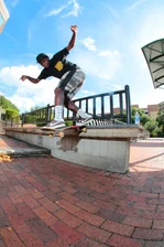 

Zion Back Tail w