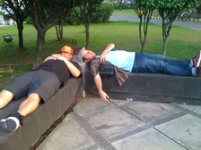 DVS Grip it and Phli