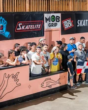 Fans were bringing t