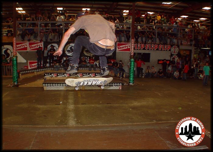 Andrew Reynolds - kickflip
