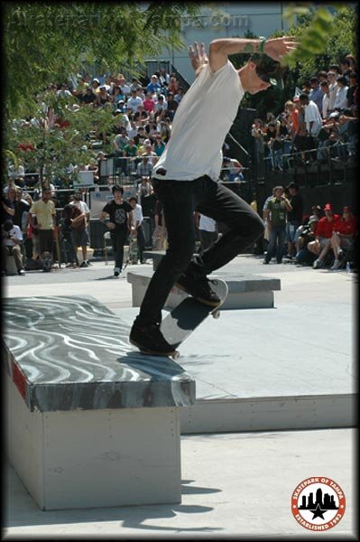 Andrew Reynolds - switch crook on the ledge