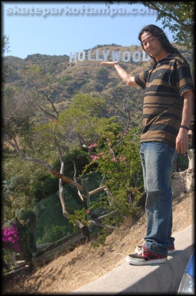 The Hollywood sign