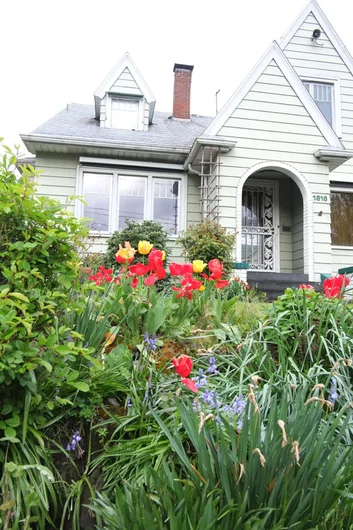 It seems tulips are in every front yard.<!-- Portland 2013 for Some Nike Bid'niss -->