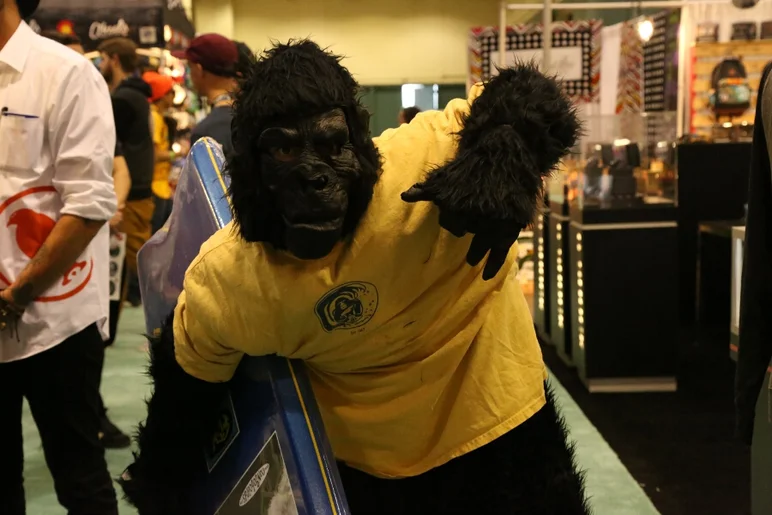 <!-- surfexpoJan2014 -->
Monkey Business?