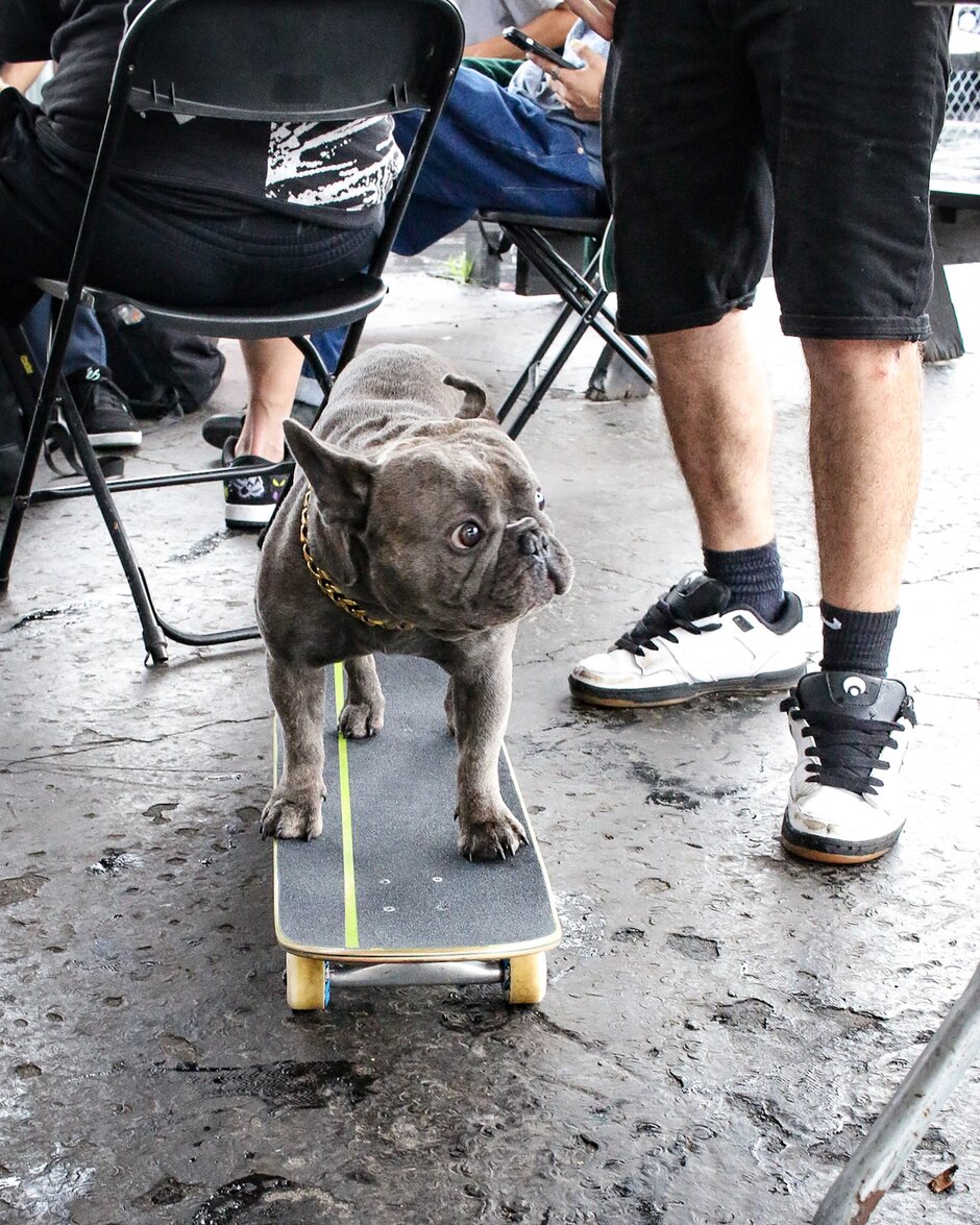 Go Skateboarding Day 2023 Coverage