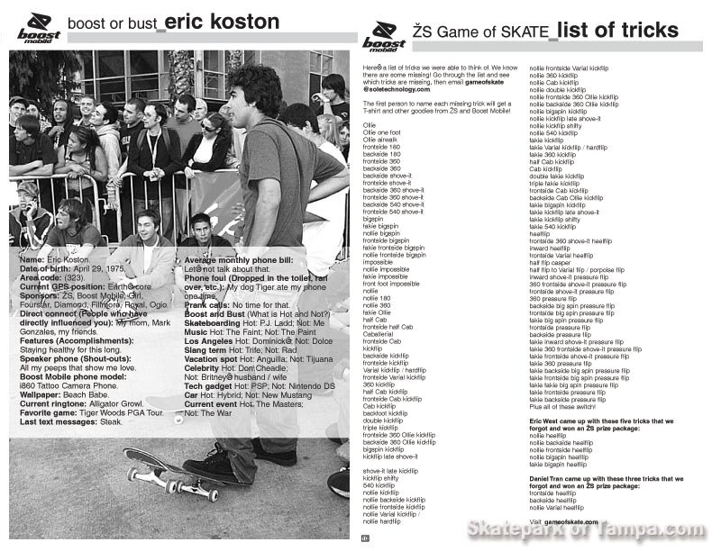 eS Game of SKATE 2005 Flyer