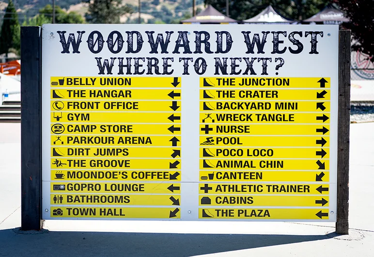 <!--daww19quals-->

Options
