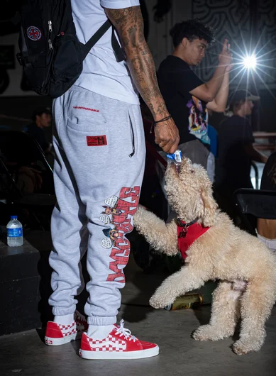 It’s a dog eat dog world.

<!--damnamla22finals-->