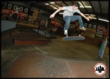 DVS Skate More Premi