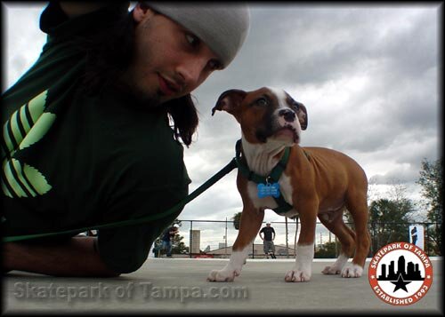 King of Crete Contest at Skatepark of Orlando