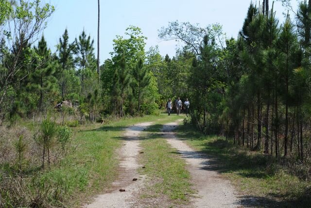 Next up was a run through the backwoods of Florida