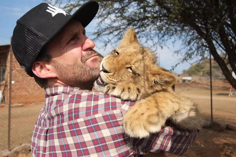 Last year we didn't have time to go to this place outside of town to play with baby lions, but this year we made it a point to make time for it.  These guys are six months old and already very powerful and playful at the same time.<!-- South Africa: Johannesburg for a Day and on to Kimberley -->