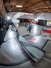 Back Nose Blunt