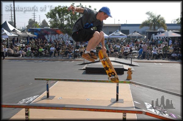Black Squirrels – sal flip