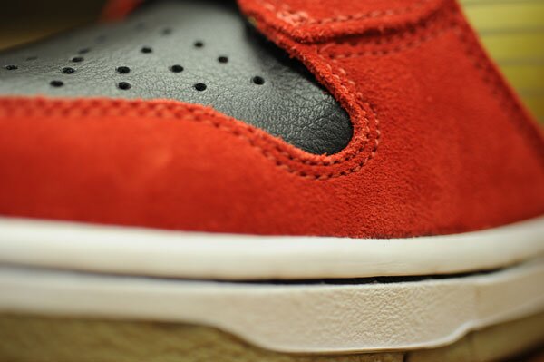 Nike SB Tecate Dunks