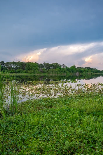 If you follow along with my blog posts you already know there will be a photo of the scenery.

<!--floridagrovesfest23-->