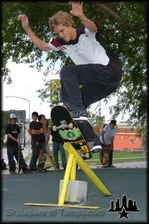 Go Skateboarding Day