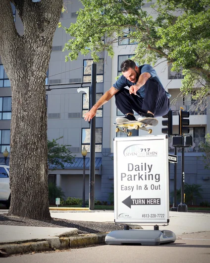 <!--silotoa-->
Steve Spence : Ollie