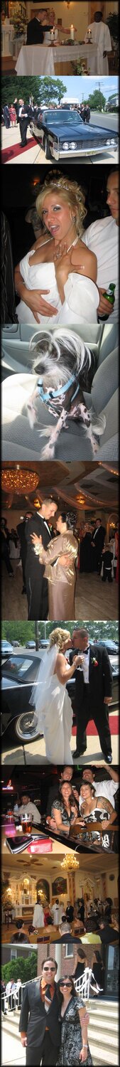 Chris Nieratko's Wedding