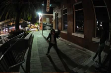 Tampa Pro 2010 Chill