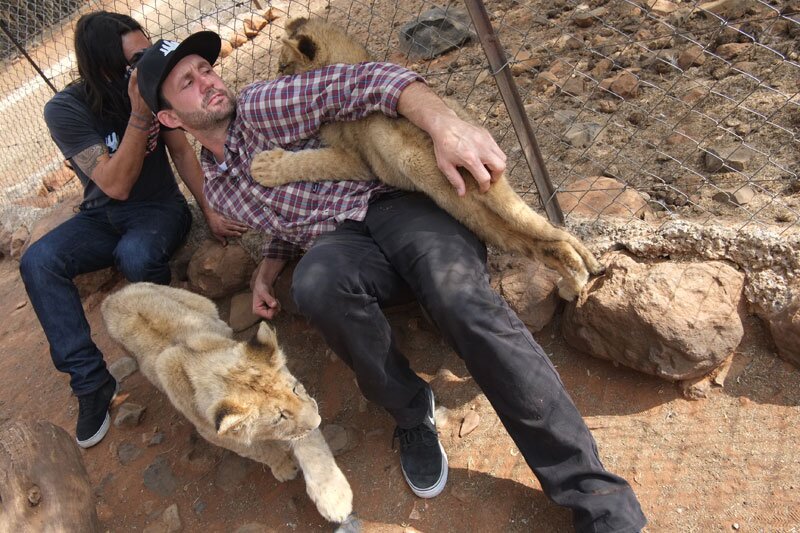 Kimberley, South Africa: Holding Baby Lions