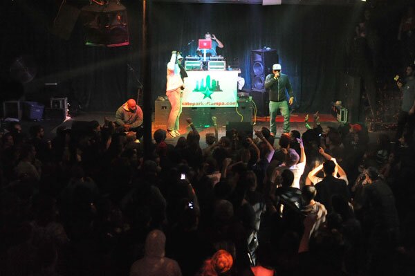 Dr Octagon show